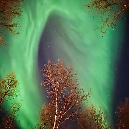 I Nord * Tromso